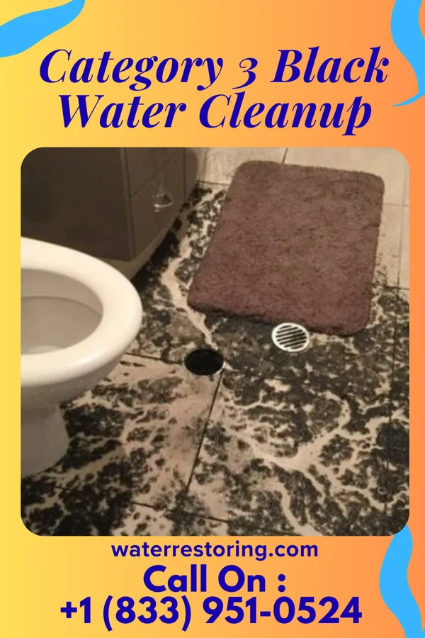 Category 3 Black Water Cleanup in Jasper, MO