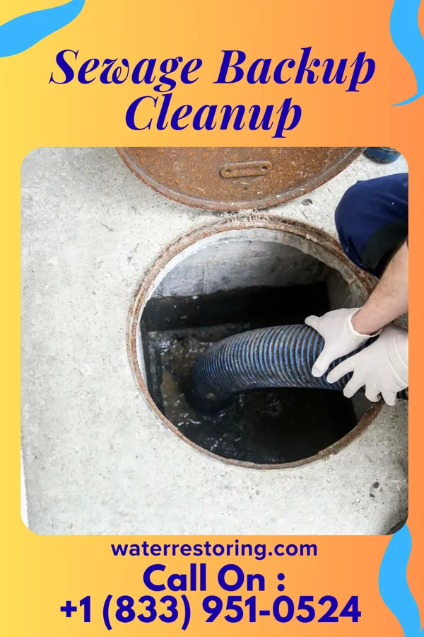 Sewage Backup Cleanup in Jasper, MO